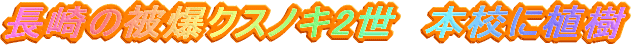 ����̔픚�����̂��񐢂�{�Z�ɐA��